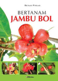 Image of Bertanam Jambu Bol