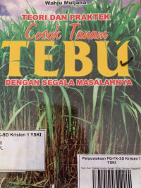 Image of Teori Dan Praktek Cocok Tanam Tebu Dengan Segala Masalahnya